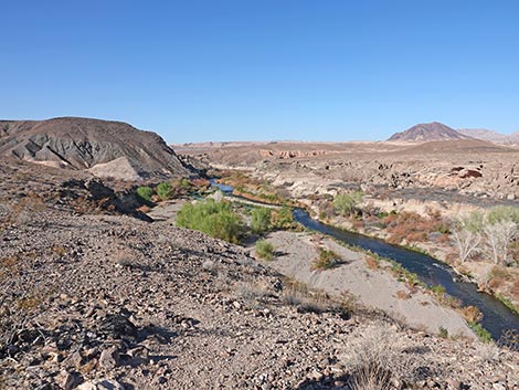 bluff trail