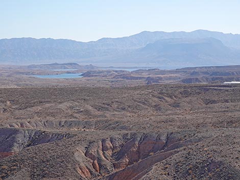 bluff trail