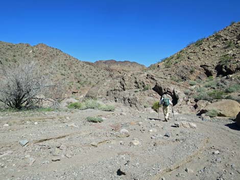 Boy Scout Canyon