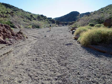 Boy Scout Canyon