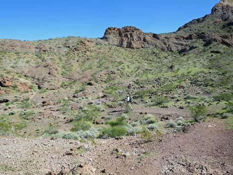 Colorado River Overlook