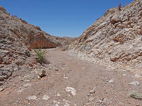 Cottonwood Wash