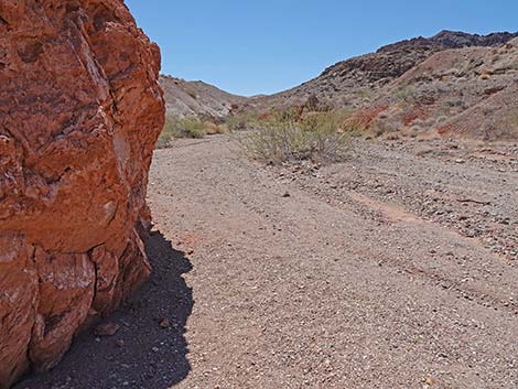 Cottonwood Spring