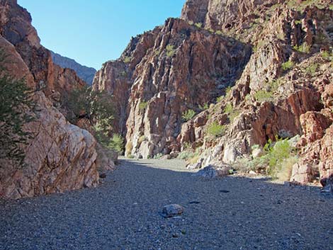 Cranes Nest Canyon