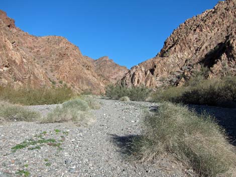 Cranes Nest Canyon