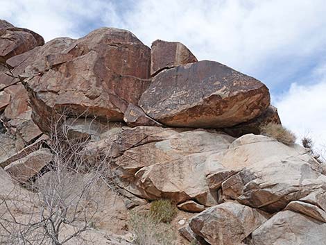 Grapevine Canyon Petroglyphs