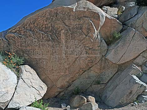 Grapevine Canyon Petroglyphs