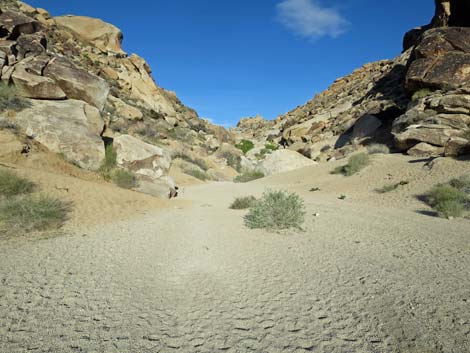 Grapevine Canyon