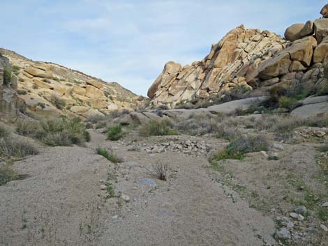 Grapevine Canyon