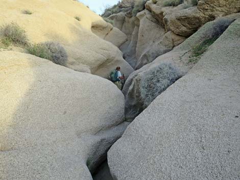 Grapevine Canyon