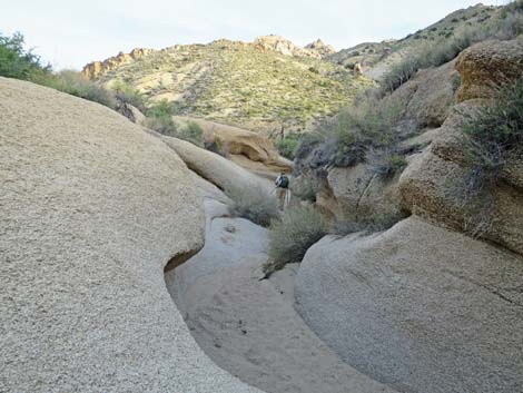 Grapevine Canyon