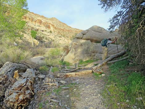 Grapevine Canyon