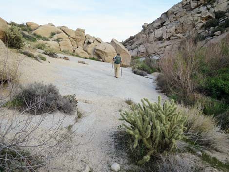 Grapevine Canyon