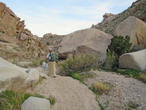 Grapevine Canyon