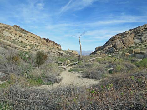 Grapevine Canyon