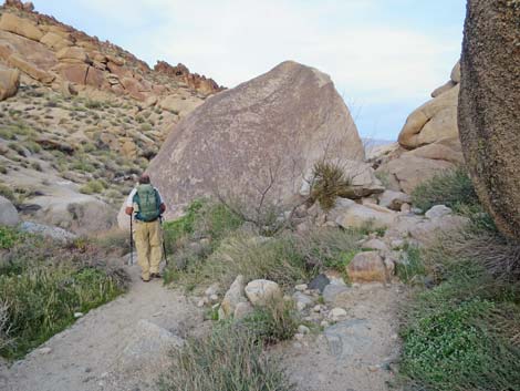 Grapevine Canyon