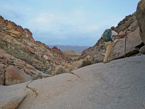 Grapevine Canyon