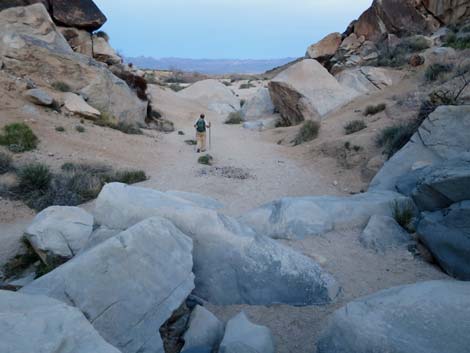 Grapevine Canyon