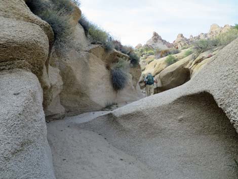 Grapevine Canyon