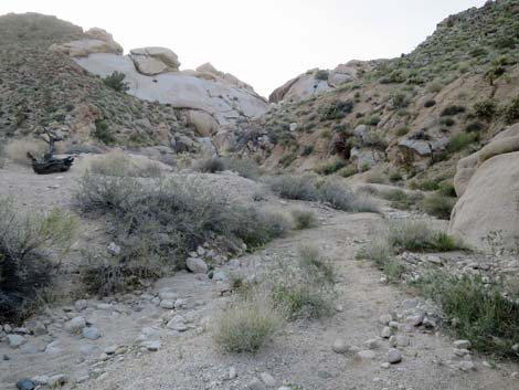 Grapevine Canyon