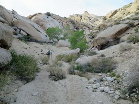 Grapevine Canyon