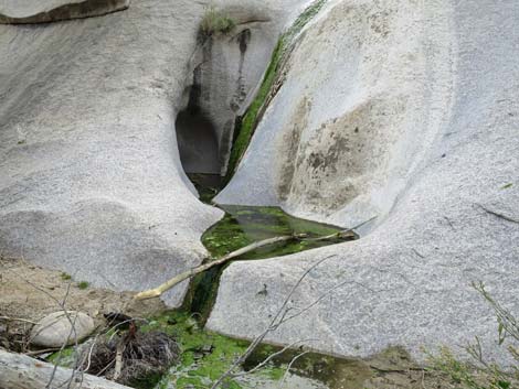 Grapevine Canyon