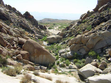 Grapevine Canyon