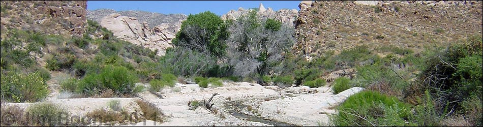 Grapevine Canyon Waterfall