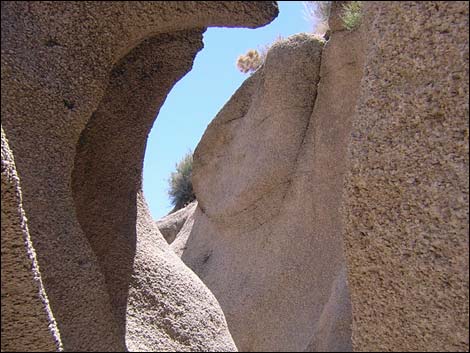 Grapevine Canyon