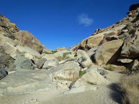 Grapevine Canyon