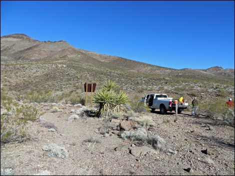 Lonesome Wash Overlook