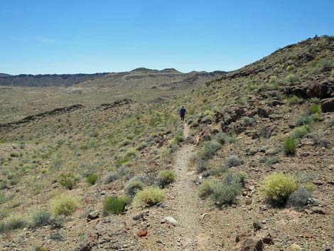 Northshore Summit Trail