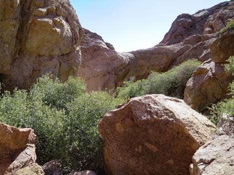 Natural Bridge