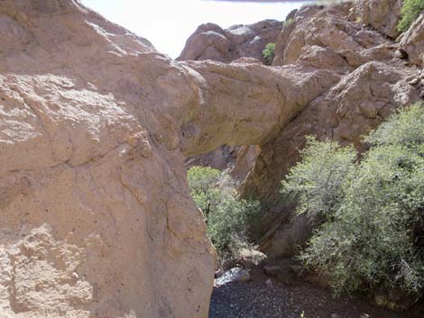 Natural Bridge