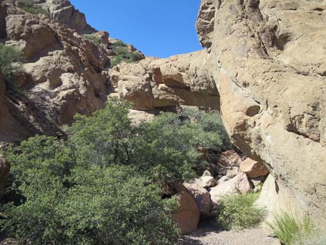 Natural Bridge