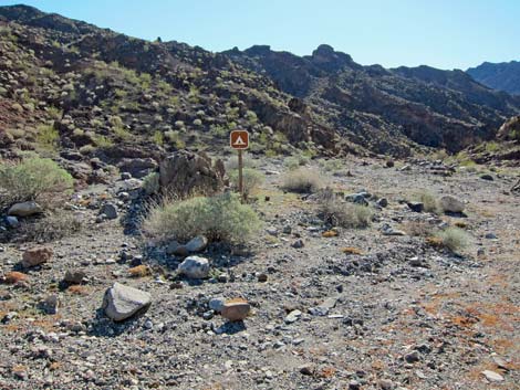 Cranes Nest Campground