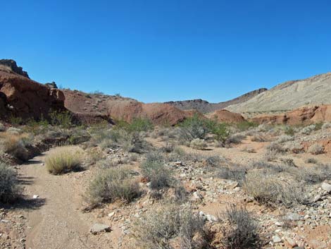 Razorback Wash North Route