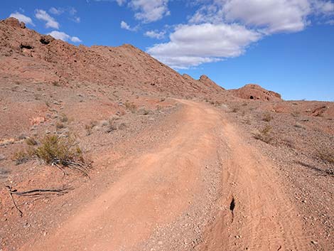 Red Needle Trail