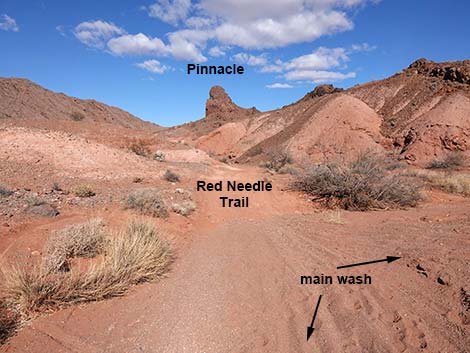 Red Needle Trail