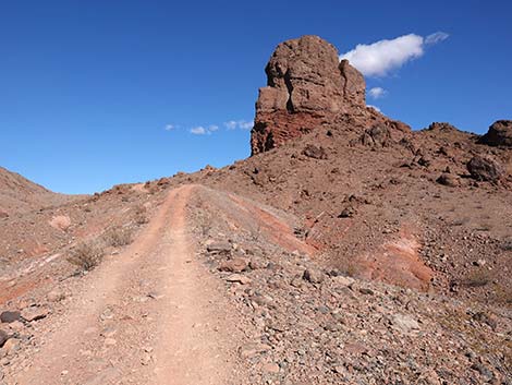 Red Needle Trail