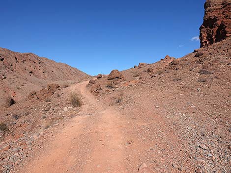 Red Needle Trail