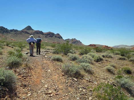 Redstone Dune Loop Trail