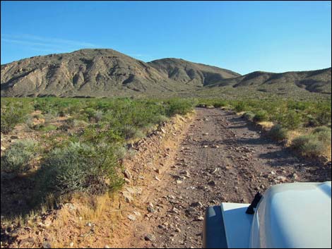 Bitter Springs Byway