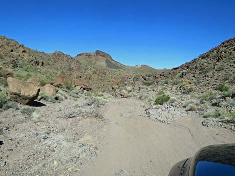 Boy Scout Canyon Road