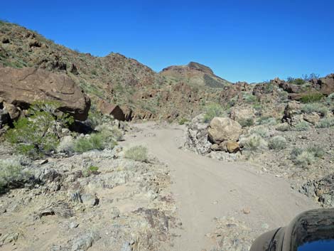 Boy Scout Canyon Road