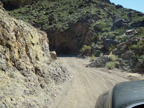 Boy Scout Canyon Road