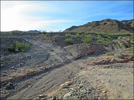 Callville Wash South Road