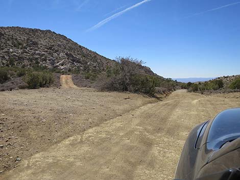 Christmas Tree Pass Road