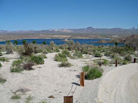 Nevada Telephone Cove Road