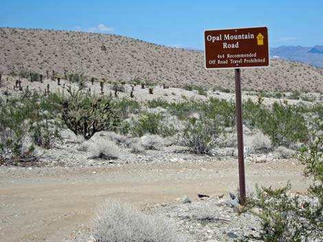 Rockefeller Mine Road